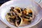 Shell pasta conchiglie pasta   with sauteed mushroom and creamy truffle sauce