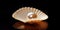 Shell With A Pearl A Beautiful Seashell Containing A Precious Pearl