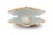 Shell with pearl inside. Natural open pearl shell. 3D illustration