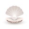 Shell with pearl inside, on white