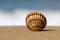 Shell in the sand