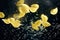 Shell-shaped pasta falling into the water on black background. Macaroni and bubbles in water