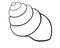 Shell snail or mollusk. Sea clam. Sea clam animal - vector image for coloring