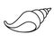 Shell. Spiral, conical shell of a sea or ocean mollusk. Vector linear picture for coloring - shell. Outline. Hand drawing.