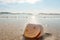 A shell with an unusual natural pattern, in the form of a smiley face, at sunset. A seashell on the beach with sand and a wave.