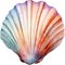 Shell Watercolor Clipart