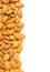 Shelled almond kernels border