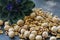 Shelled and shelled walnuts on a wooden board on the table. Healthy nutrition, vegetarianism, diet