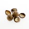 Shelled and unshelled macadamia nuts on white background