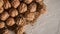 Shelled and unshelled walnuts (official stuffing). Fresh walnut background