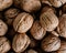 Shelled walnuts. Fresh walnut background