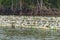 Shellfish farm from old plastic bottles in sea at Chanthaburi, T