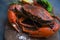 Shellfish seafood plate with steaming crab on wooden dark background