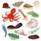 Shellfish vector marine animal octopus molluscs tentacle and animalistic character octopi oyster snail in sea