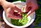 Shelling fresh green homegrown garden peas for healthy, organic eating