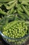 Shelling peas - closeup