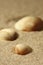 Shells on a beach