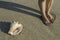 Shells on the beach. Foots in water