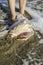 Shells on the beach. Foots in water