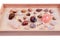 Shells collection : set of various mollusk shells on wood tray background