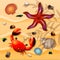 Shells, crab and starfishes on sand background.