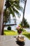 Shells and flowers on table at tropical ocean resort