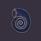 shells, mollusks live in the sea or ocean of different shapes, a spiral