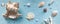 Shells, pebbles, coral tree on a pale blue background. Banner. The concept of a tropical holiday