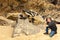 Shells on a rock. A man photographs the marine animals on the beach.