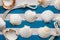 Shells and sailor rope on a wooden background. Sea concept. Stories background.