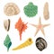 Shells of sea in sand. Aquatic vector icons in cartoon style