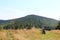 Shelter Hala Krupowa - Beskid Zywiecki, Poland