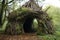 shelter made from branches and leaves