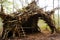 shelter made from branches, leaves, and natural materials