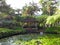 Shelter wooden observatory surrounded by dense tropical vegetation, pond with water lilies and palm trees in botanical garden of