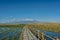 A sheltered wooden boardwalk extends through a wildlife sanctuary