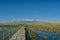 A sheltered wooden boardwalk extends through a wildlife sanctuary