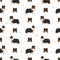 Sheltie, Shetland sheepdog seamless pattern. Different poses, coat colors set