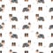 Sheltie, Shetland sheepdog seamless pattern. Different poses, coat colors set
