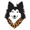 Sheltie shetland sheepdog wearing a leopard print bandana EPS vector file