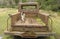 Sheltie walking in the bed of Wallace Island`s old pick up truck, Wallace Island, Gulf Islands, British Columbia