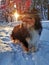 Sheltie and the winter dawn
