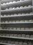 Shelves with aged cheeses. Cheese row