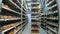 Shelves with aged cheeses. Cheese row