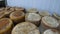 Shelves with aged cheeses. Cheese row