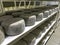 Shelves with aged cheeses. Cheese row