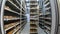 Shelves with aged cheeses. Cheese row