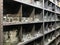 Shelves of used clear glassware dishes in thrift shop