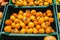 Shelves with variety testy vitamin products in fruit and vegetables department in the supermarket.