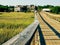 Shem Creek, Charleston, SC.